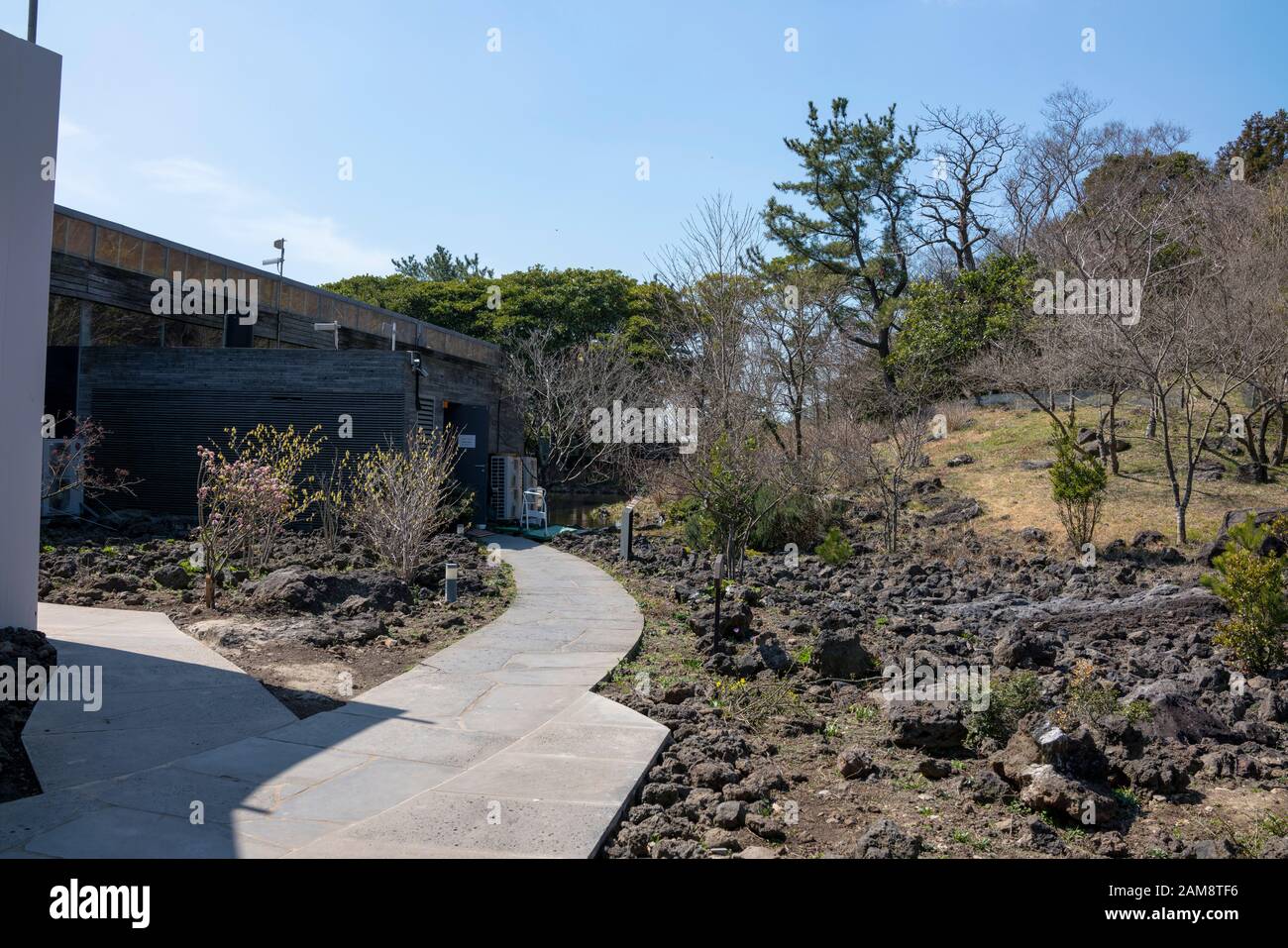 Jeju, Corée, 8 Mars 2019. La route mène au musée du thé Osulloc. Expositions sur le thé vert, un observatoire avec vue sur la campagne, un gif populaire Banque D'Images