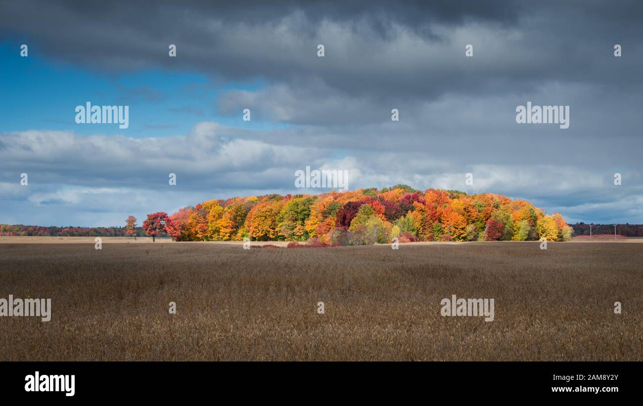 Couleurs d'automne au Québec Canada Banque D'Images