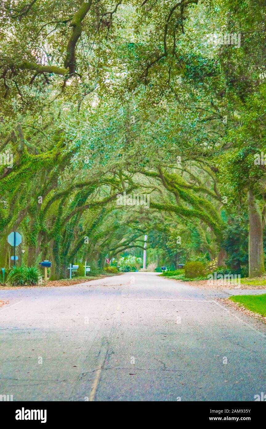 Belle vue sur Oak Street , Magnolia Springs , Alabama USA Banque D'Images