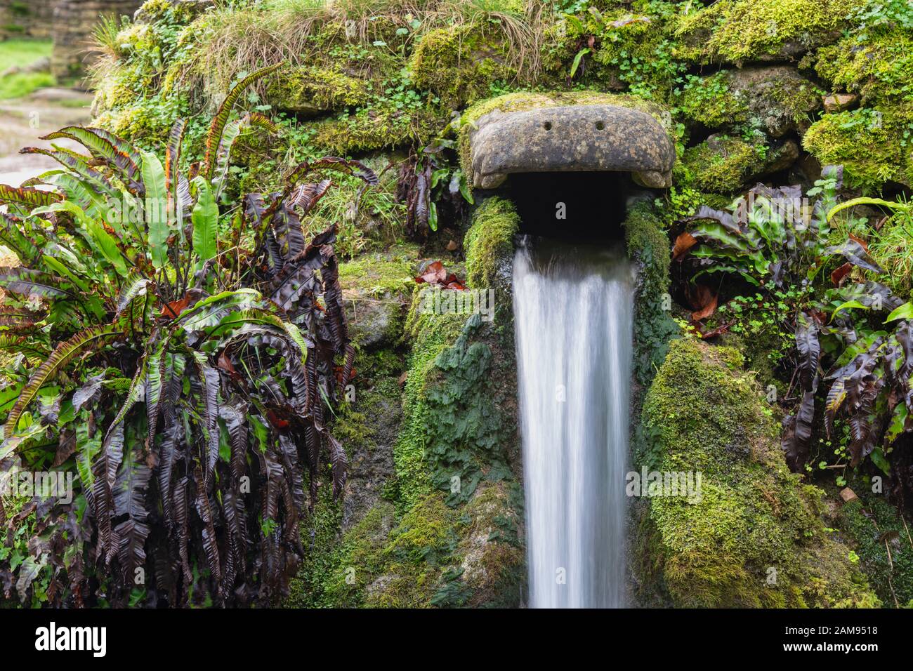 Le bec d'eau de source de crocodile en pierre dans le village cotswold de Compton Abdale. Cotswolds, Gloucestershire, Angleterre Banque D'Images