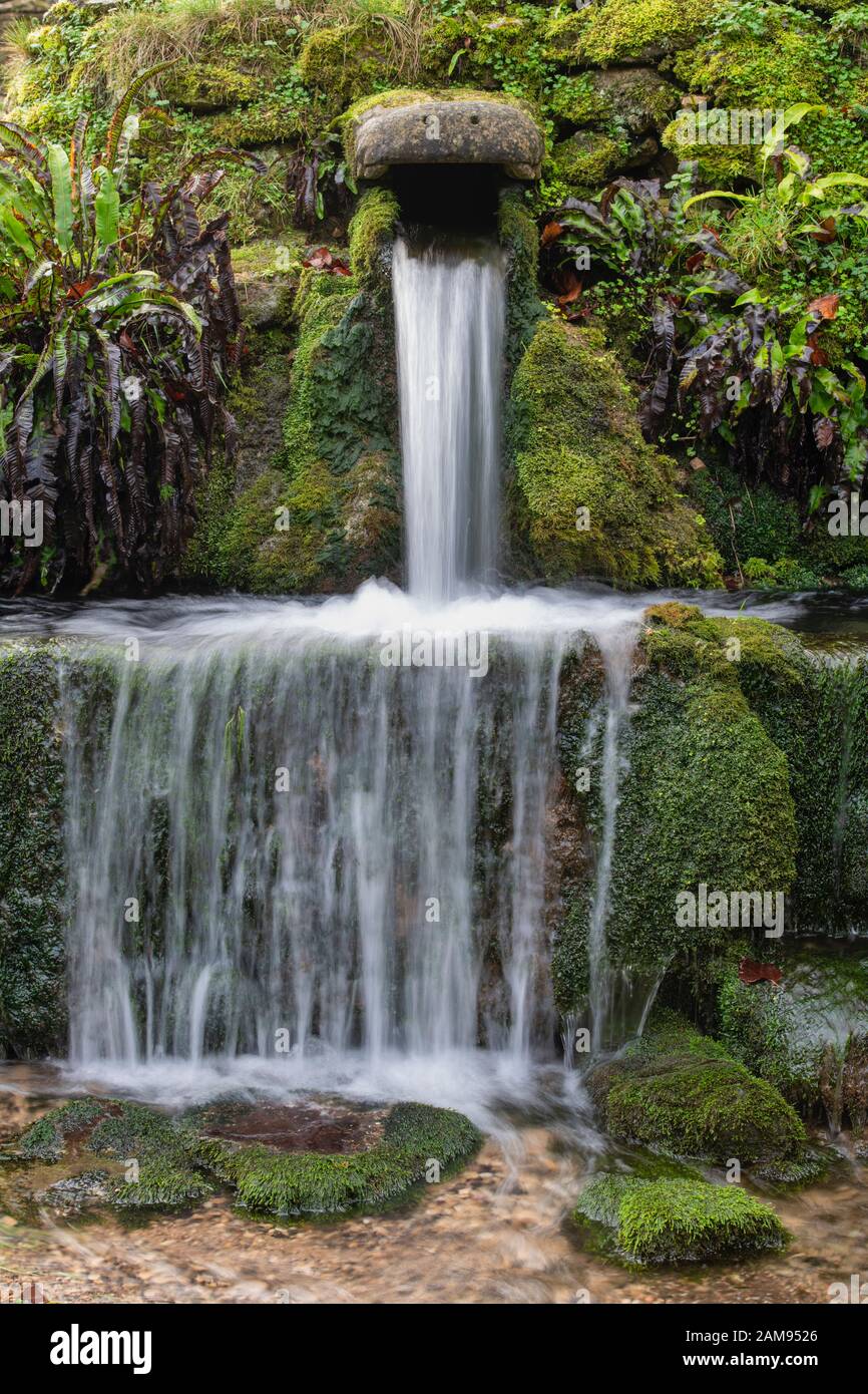 Le bec d'eau de source de crocodile en pierre dans le village cotswold de Compton Abdale. Cotswolds, Gloucestershire, Angleterre Banque D'Images