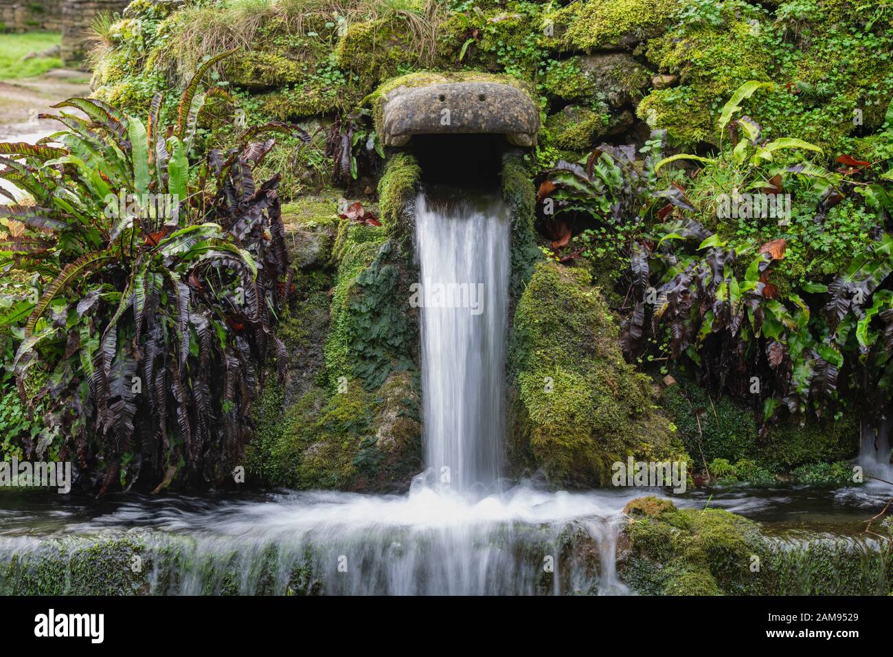 Le bec d'eau de source de crocodile en pierre dans le village cotswold de Compton Abdale. Cotswolds, Gloucestershire, Angleterre Banque D'Images