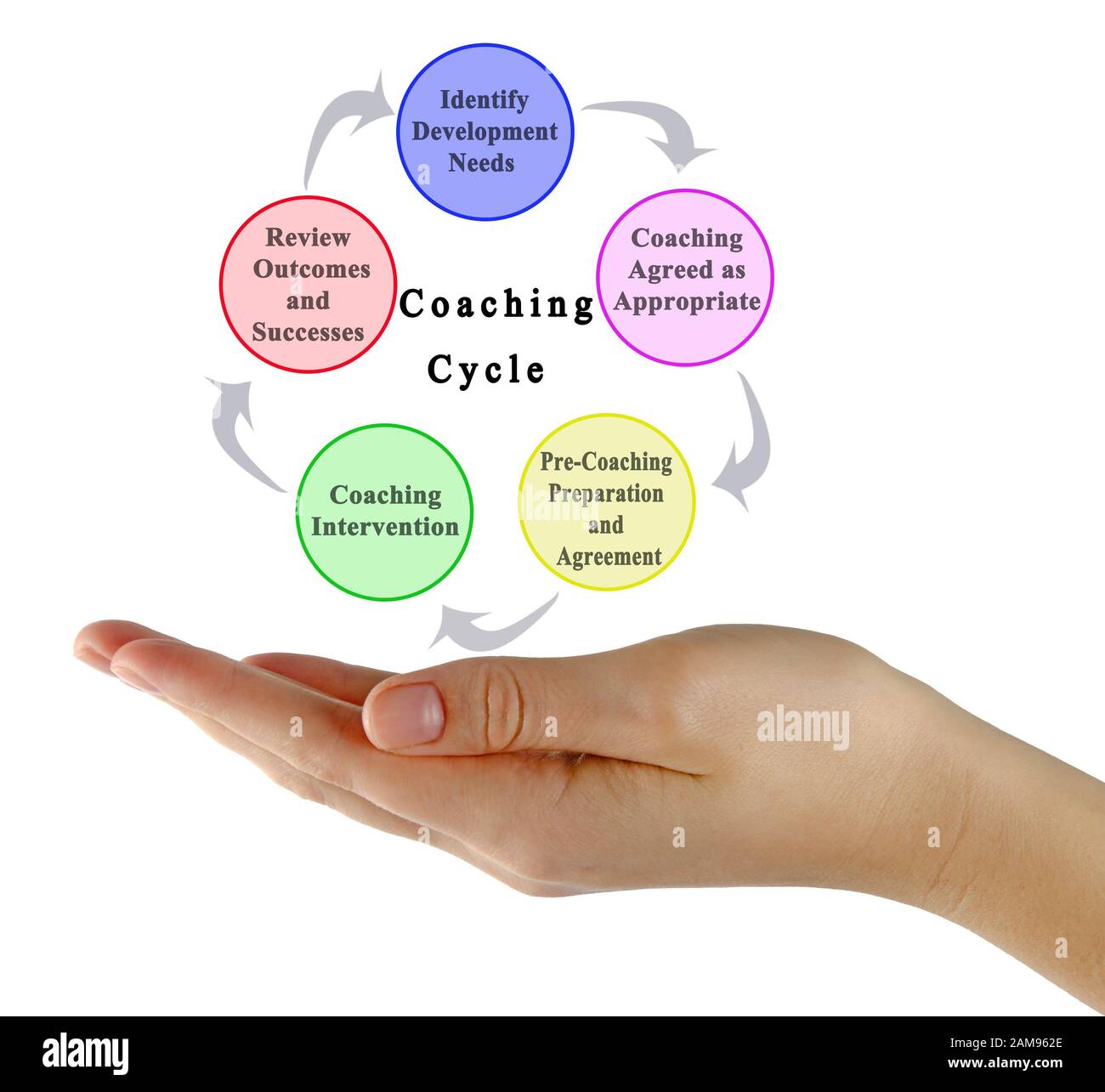 Cinq composantes du cycle de coaching Banque D'Images