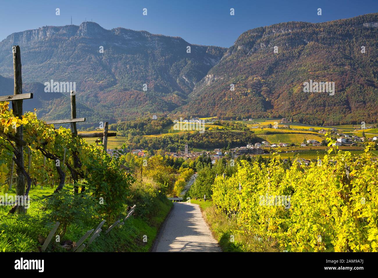 Une route à travers vignes colorées au Tyrol du Sud sur une journée ensoleillée à l'automne. Banque D'Images