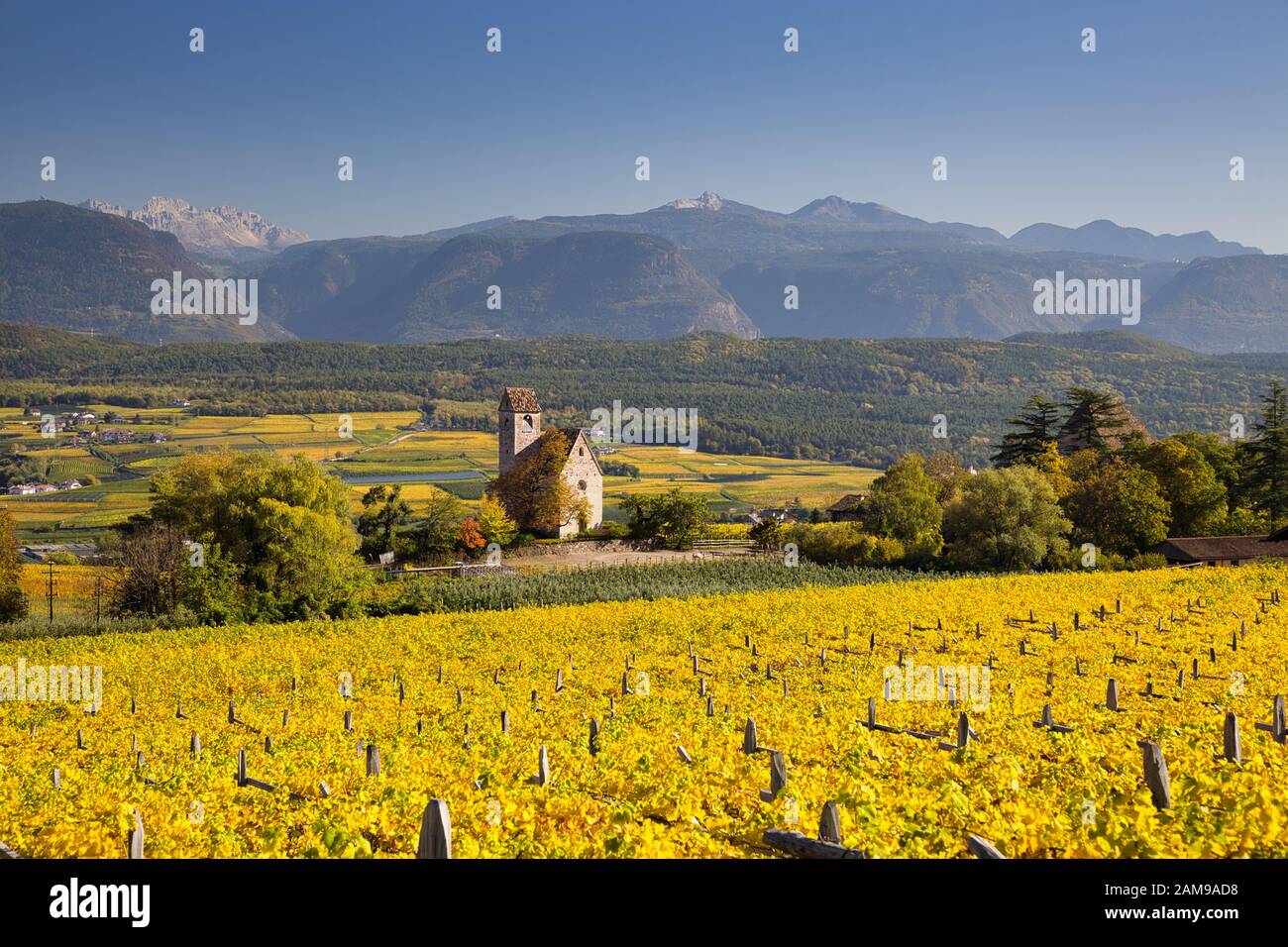 Chapelle dans les vignobles près d'Eppan an der Weinstraße, Tyrol du Sud, Italie Banque D'Images