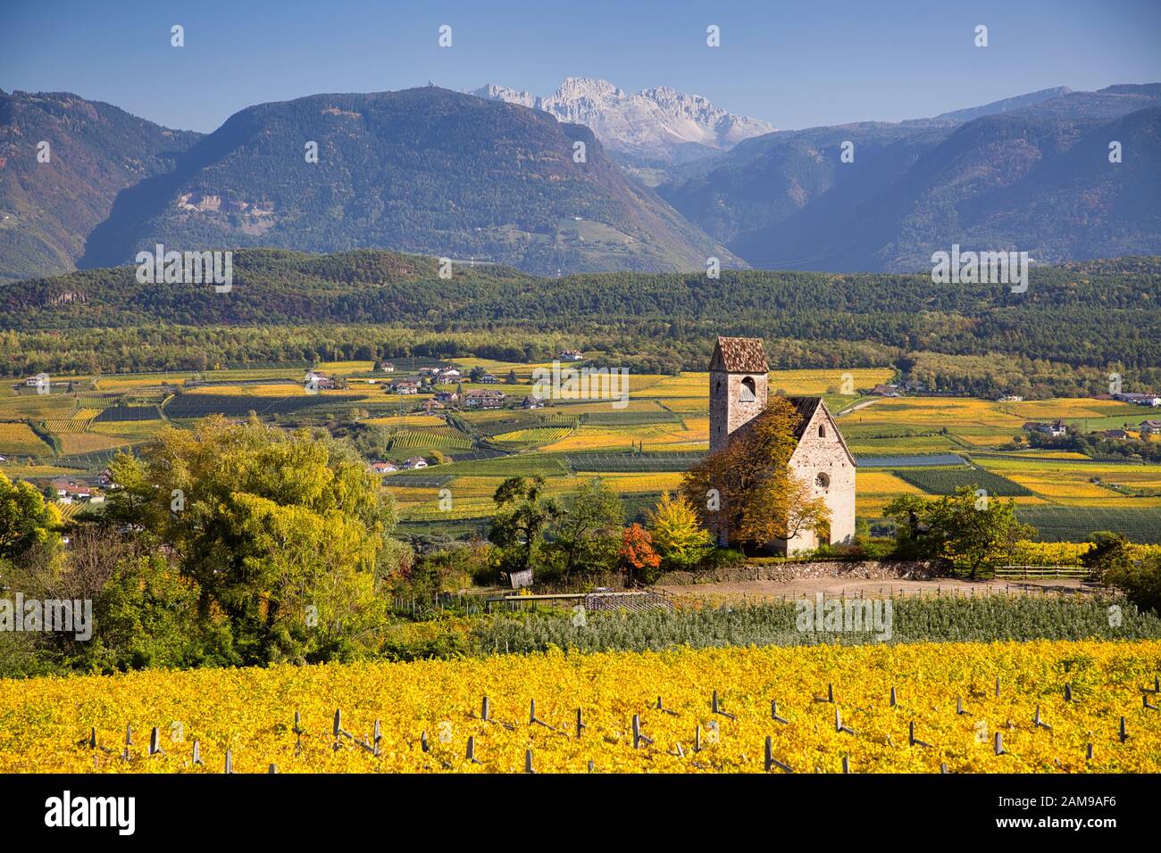 Chapelle dans les vignobles près d'Eppan an der Weinstraße, Tyrol du Sud, Italie Banque D'Images