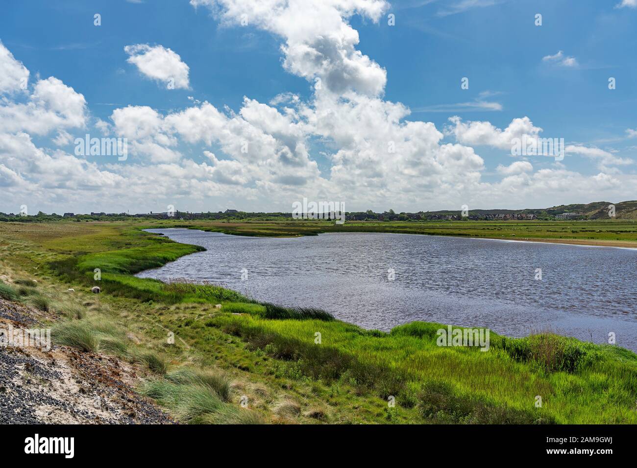 Sylt - vue sur la réserve naturelle de la mer des Wadden à proximité List Harbour, Schleswig-Holstein, Allemagne, 09.06.2019 Banque D'Images