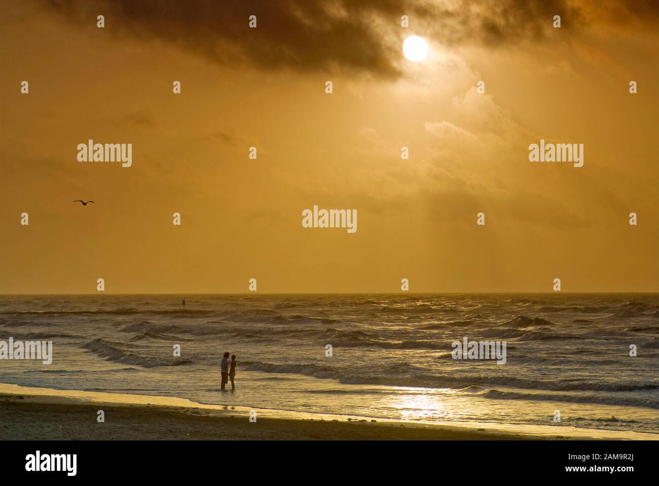 Jeune couple sur la plage au lever du soleil, Seawall Boulevard, Galveston, Texas, États-Unis Banque D'Images