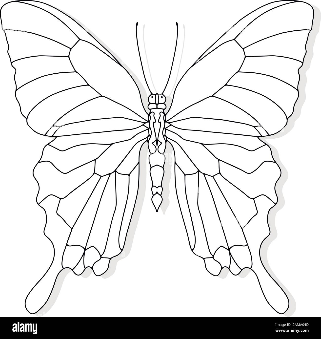 Papillon dessiné à la main pour t-shirt ou tatouage. Livre de coloriage pour les enfants et les adultes. Illustration vectorielle Illustration de Vecteur