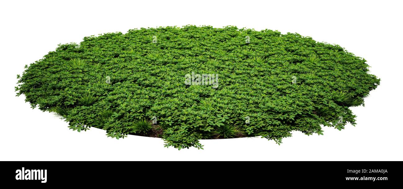 rendu tridimensionnel du tapis de la zone de l'arène d'herbe isolé sur fond blanc Banque D'Images