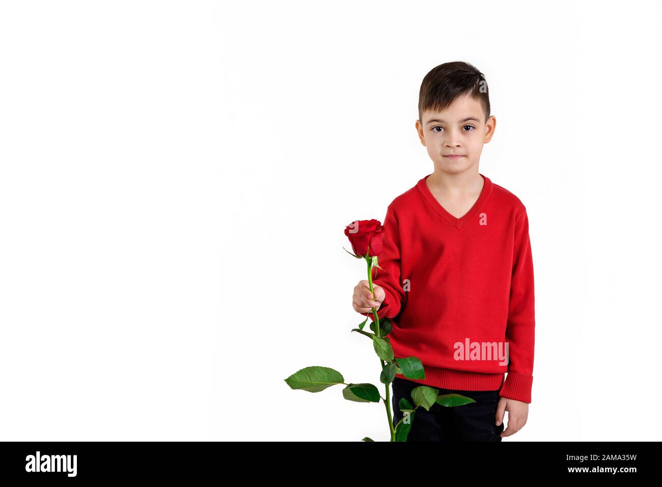 enfant garçon en pull rouge tenant la fleur de rose rouge isolée sur fond  blanc. Saint-Valentin. Espace de photocopie Photo Stock - Alamy