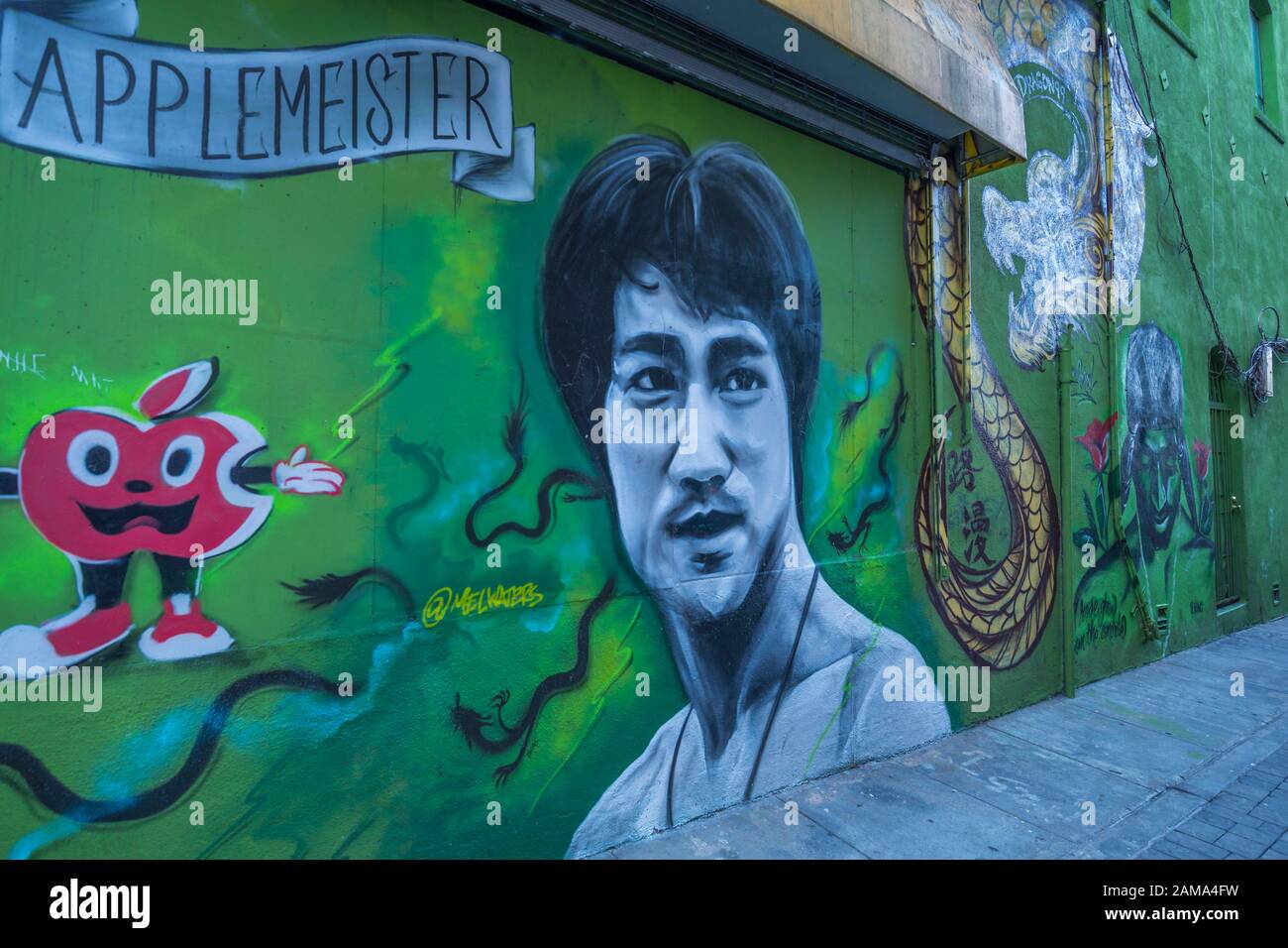 Vue sur la peinture murale de Bruce Lee à Chinatown, San Francisco, Californie, États-Unis d'Amérique, Amérique du Nord Banque D'Images