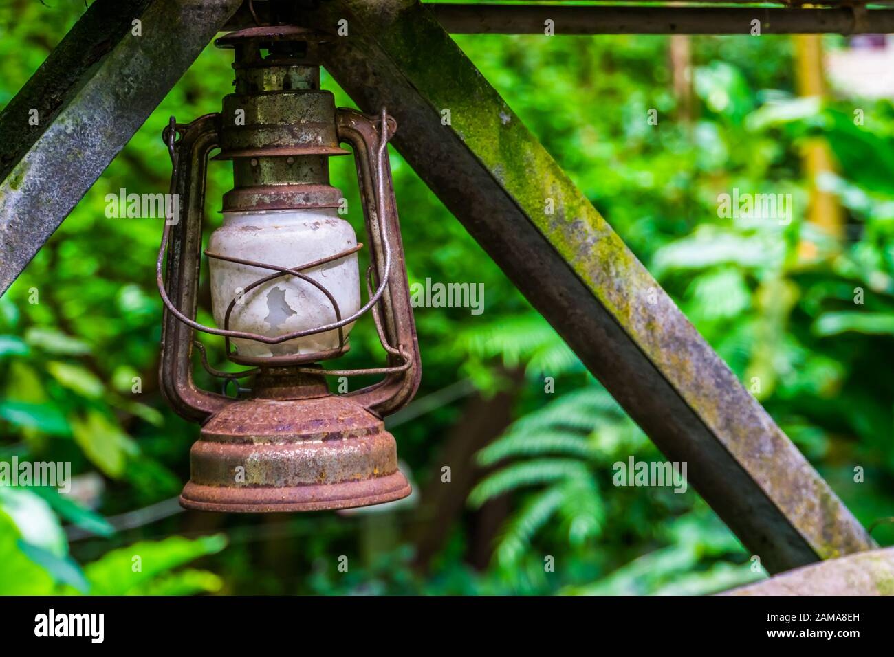 gros plan d'une ancienne lanterne vintage rouillée avec la jungle en arrière-plan Banque D'Images