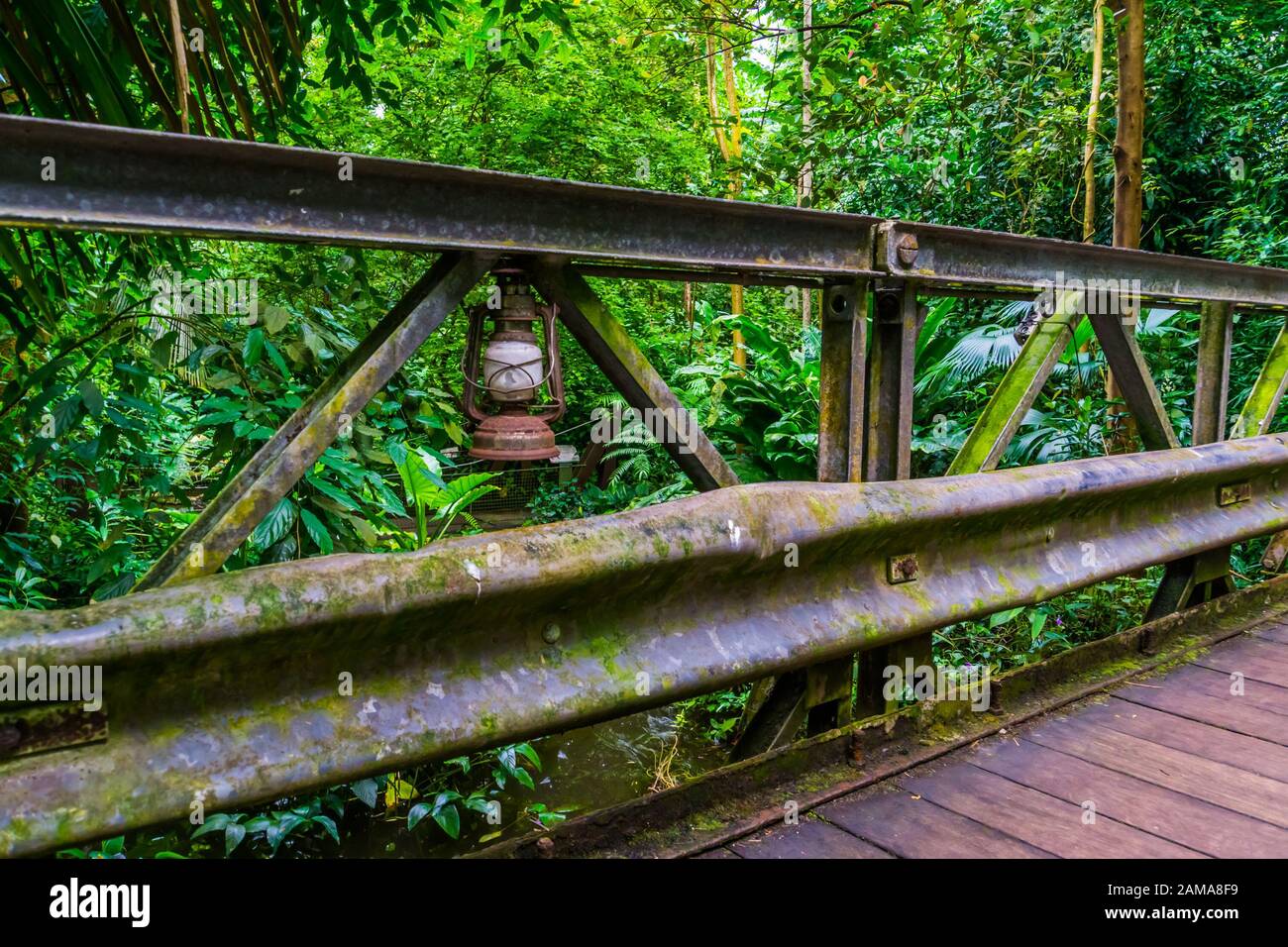 Ancienne lanterne rouillée d'époque sur un pont dans un paysage de jungle, architecture dans la nature Banque D'Images