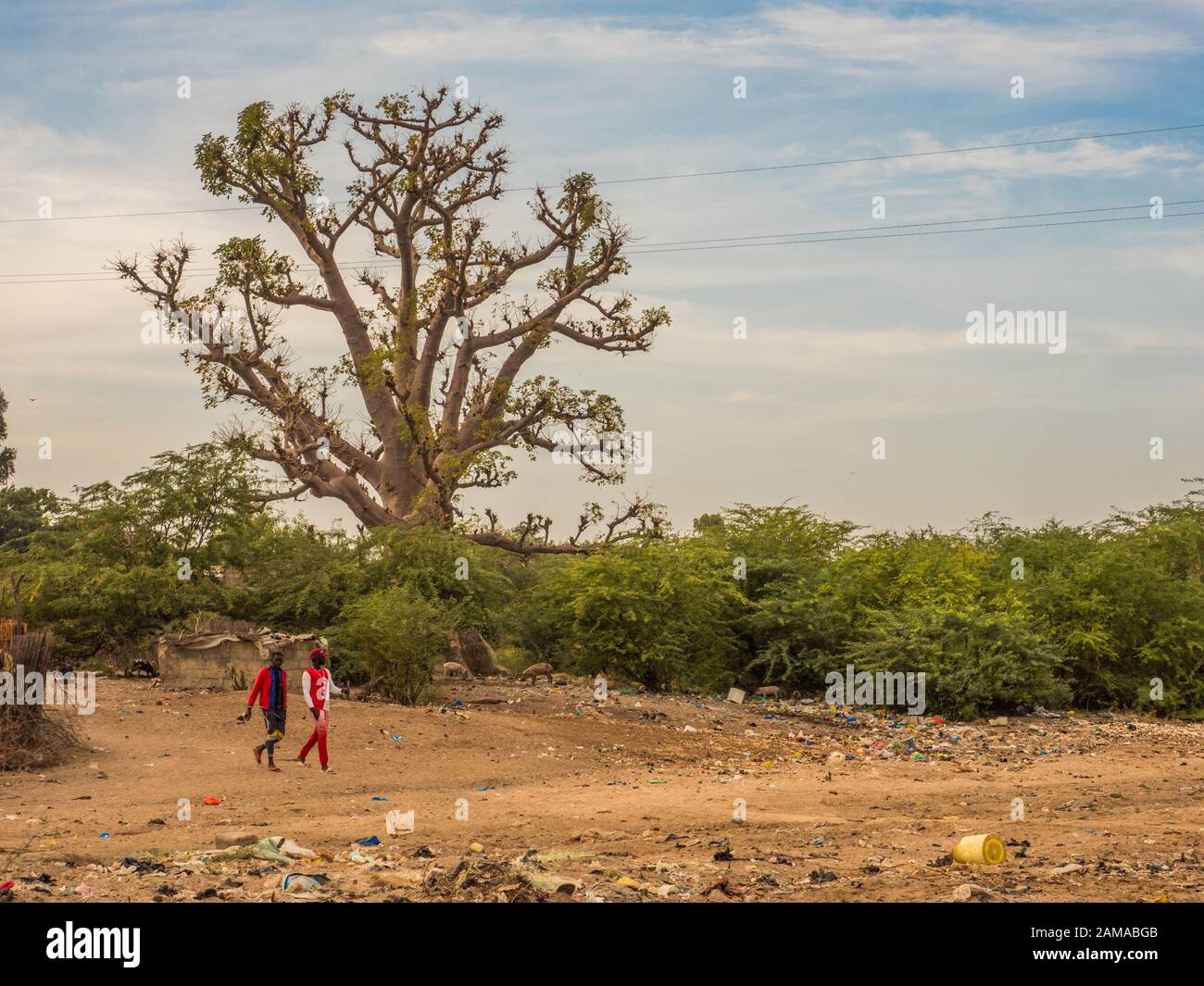 Sénégal, Afrique - Janvier, 24, 2019: Arbre baobab à côté de la route locale africaine et les deux hommes marchant dans les vêtements rouges entre la pollution. Sene Banque D'Images