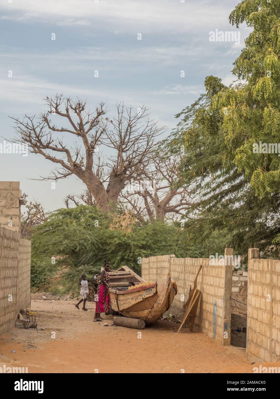 Sénégal, Afrique - Janvier, 24, 2019: Un énorme baobab arbres à côté de la route rouge africaine.arbre de bonheur, Sénégal. Afrique. Banque D'Images