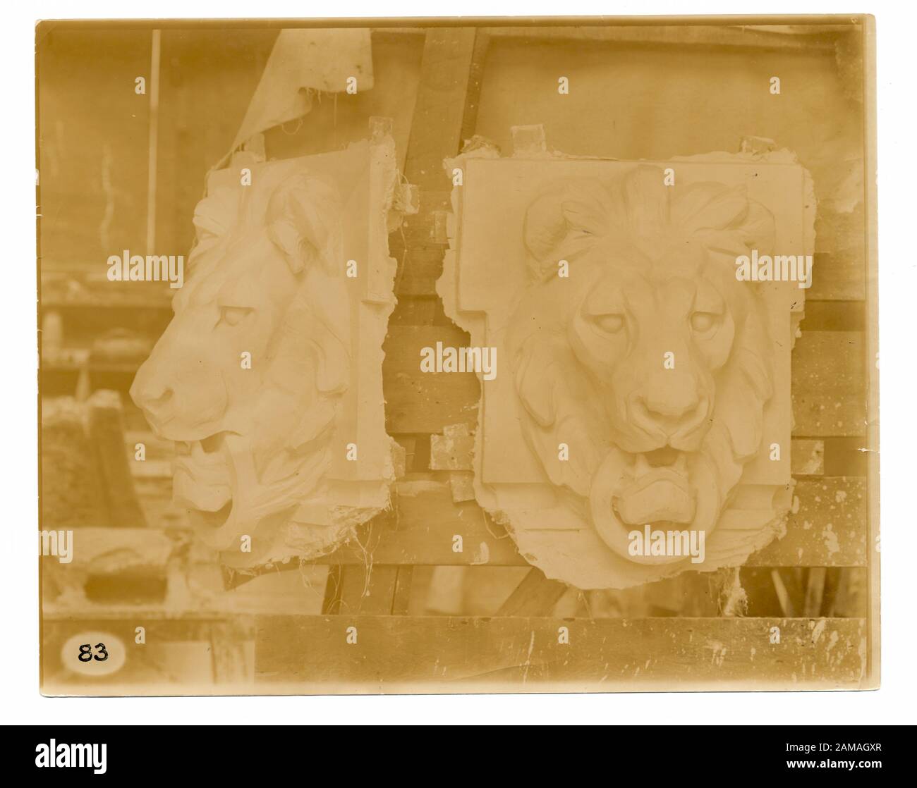 Modèles en plâtre d'une tête de lion modèles en plâtre d'une tête de lion; modèles en plâtre d'une tête de lion. Banque D'Images