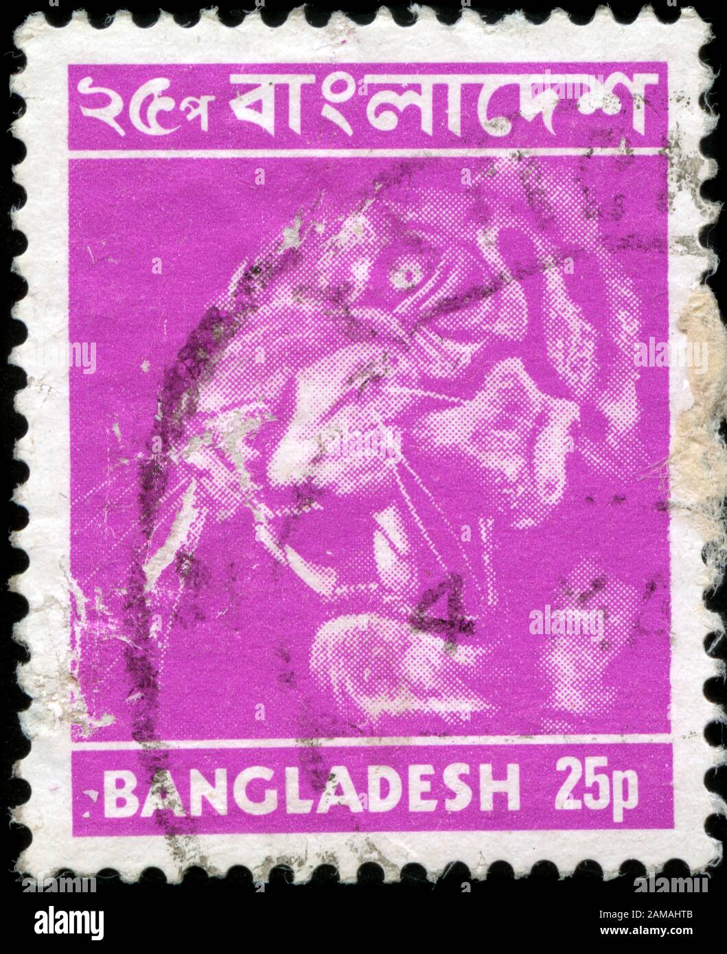 Tigre du Bengale (Panthera tigris tigris) Banque D'Images