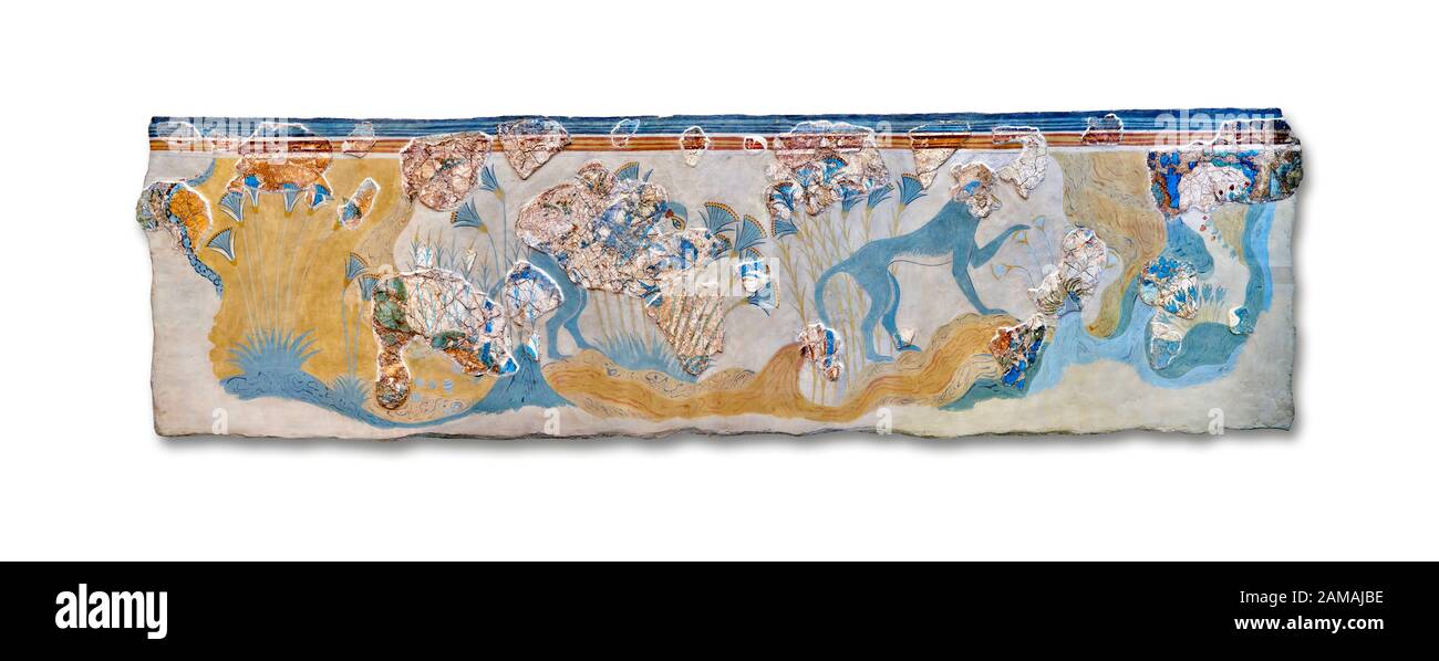 Décoration murale Minoan représentant les « Monkeys bleus » du palais de Knossos, 1700-1450 av. J.-C. Musée Archéologique D'Héraklion. Fond Blanc. Banque D'Images