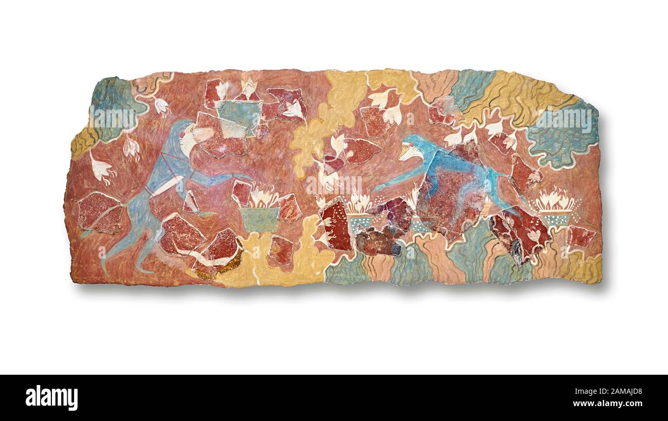 La fresque murale Minoan « Safran Gatherer », du palais des Cnossos « Maison des Fresques ». 1700-1450 AV. J.-C. Musée Archéologique D'Héraklion. Arrière-Plan Blanc Banque D'Images