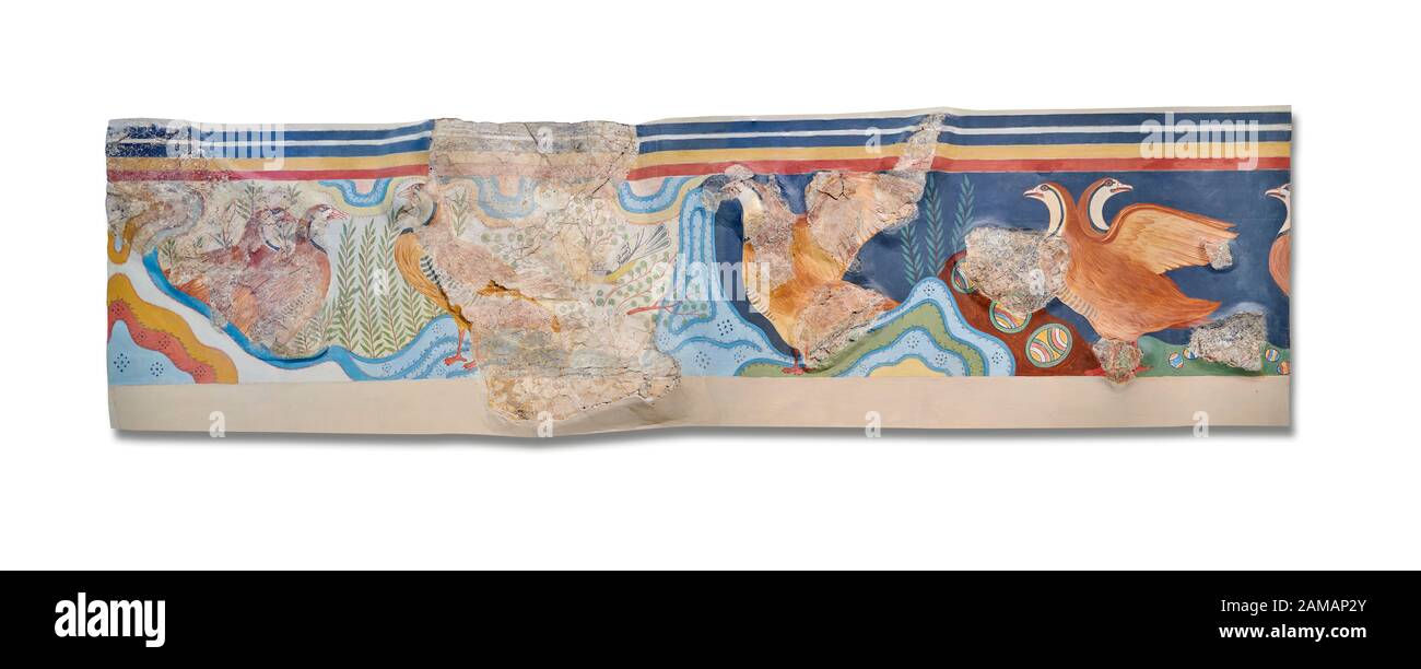 Le Minoan 'Partridge Fresco', l'art du mur du 'Guset House' Knossos Palace, 1600-140 av. J.-C. Musée Archéologique D'Héraklion. Fond Blanc. Thi Banque D'Images