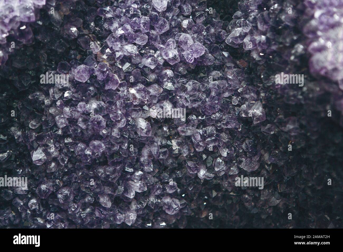 Close-up ou d'une macro d'un lilas ou violet minéral d'améthyste druse Banque D'Images