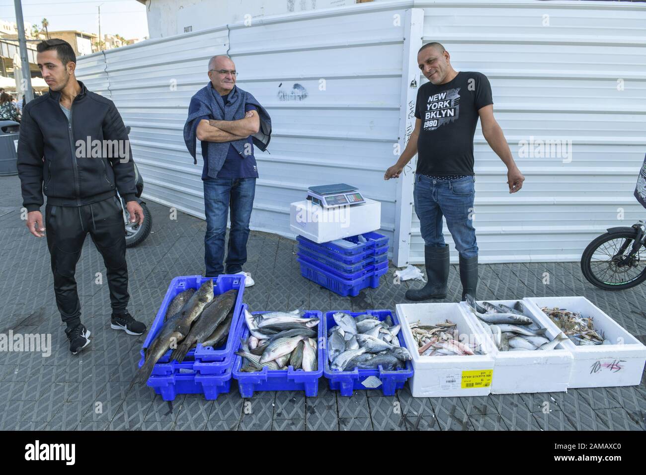 Fischverkauf, Hafenmole, Jaffa, Tel Aviv, Israël Banque D'Images