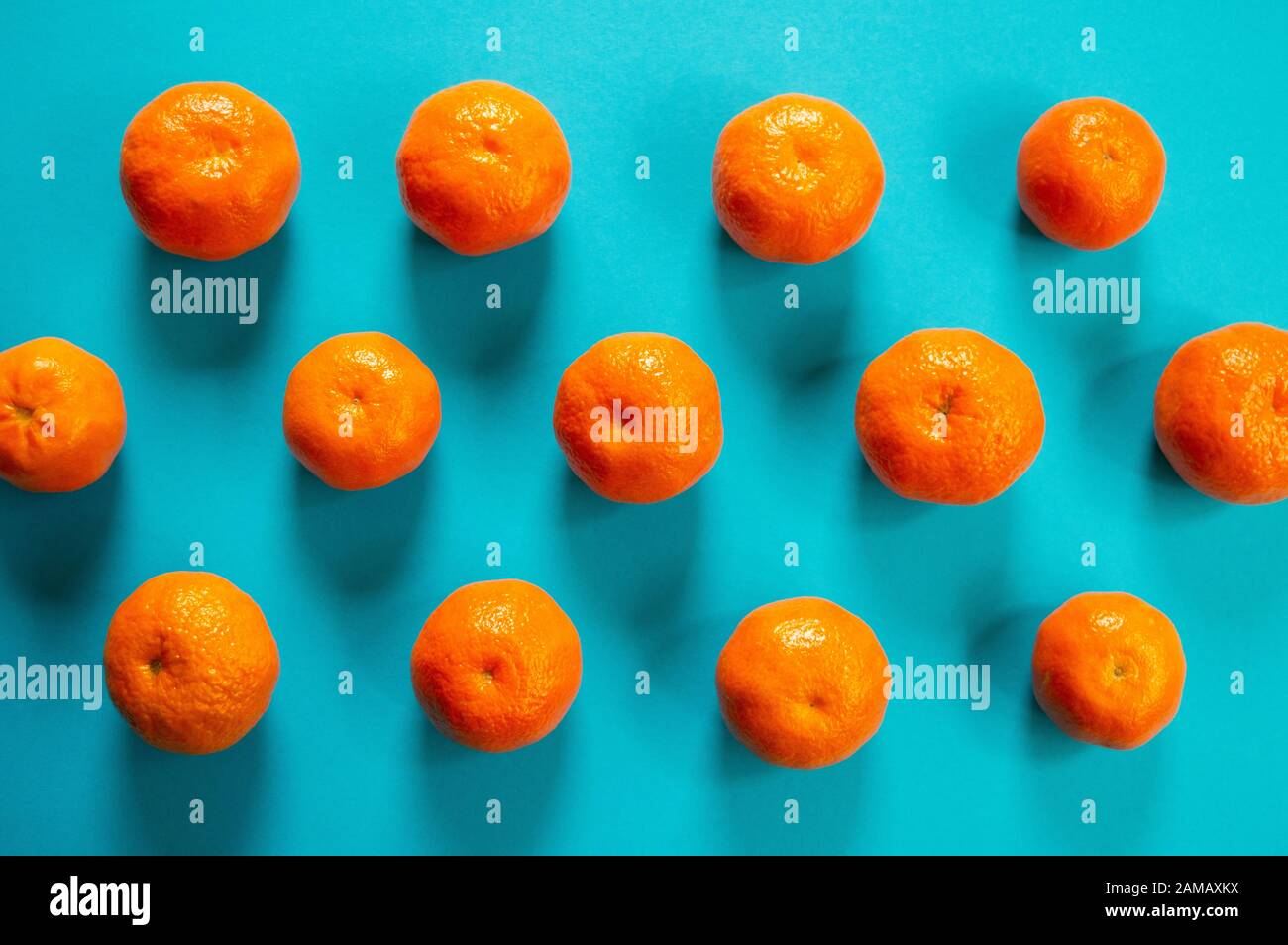 Les tangerines oranges sont plates sur un fond bleu Banque D'Images