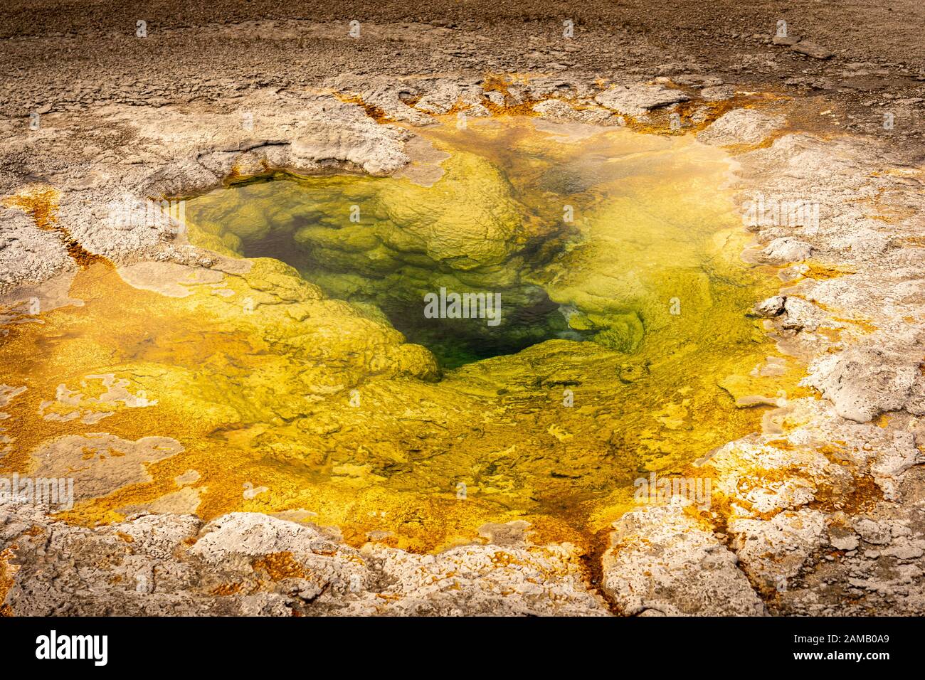 Heiße Quelle im Nationalpark Yellowstone Banque D'Images