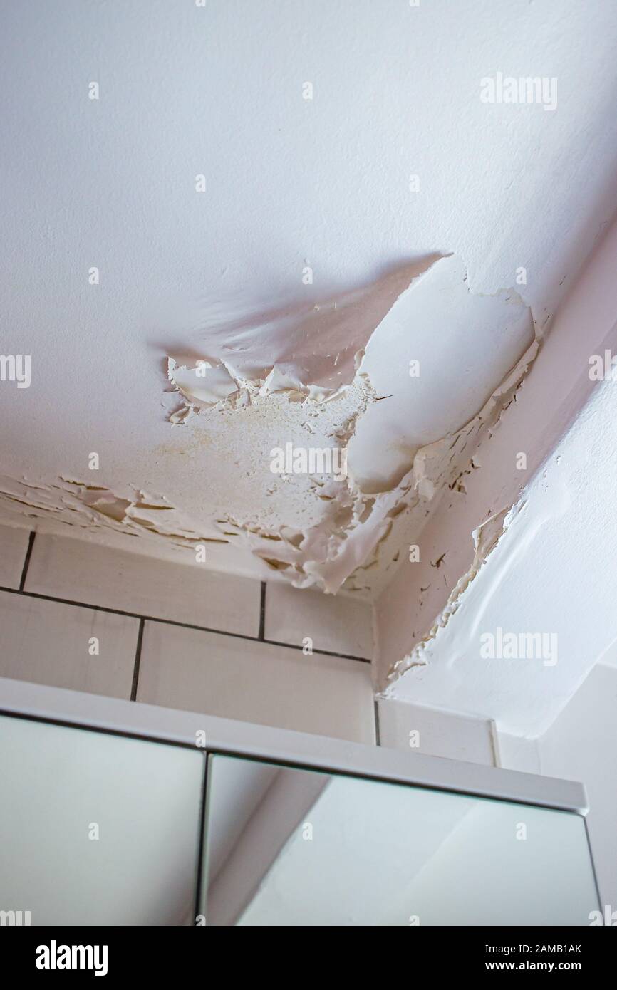 Peinture de plafond de salle de bain décolée causée par l'excès d'humidité  et de condensation Photo Stock - Alamy
