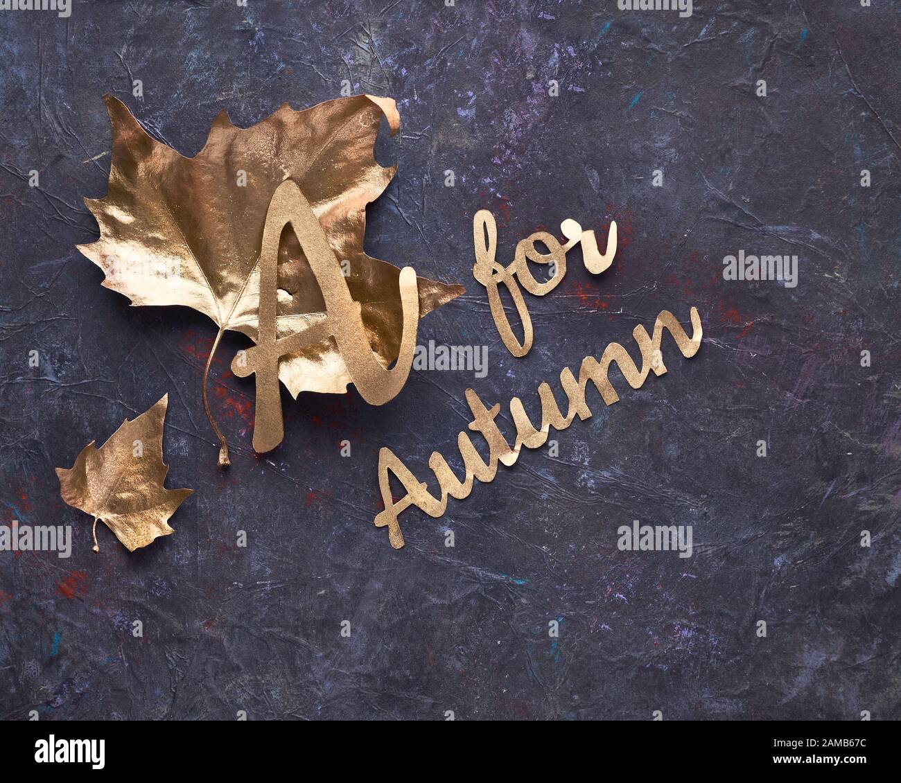 Automne, plat créatif. Vue de dessus des feuilles de sycomore peintes en or sur fond gris foncé texturé. Texte « A ou automne » en italique doré Banque D'Images