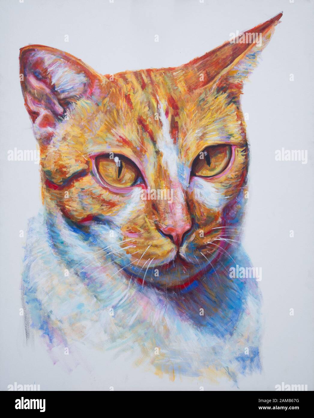 Portrait de peinture du chat gingaer, couleur acrylique sur toile blanche. Banque D'Images