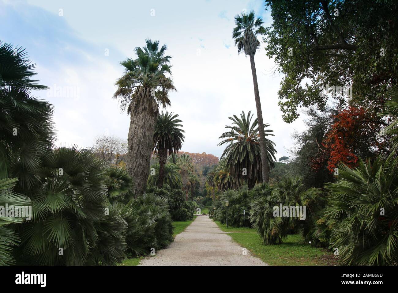 Jardin botanique à Rome, Italie Banque D'Images