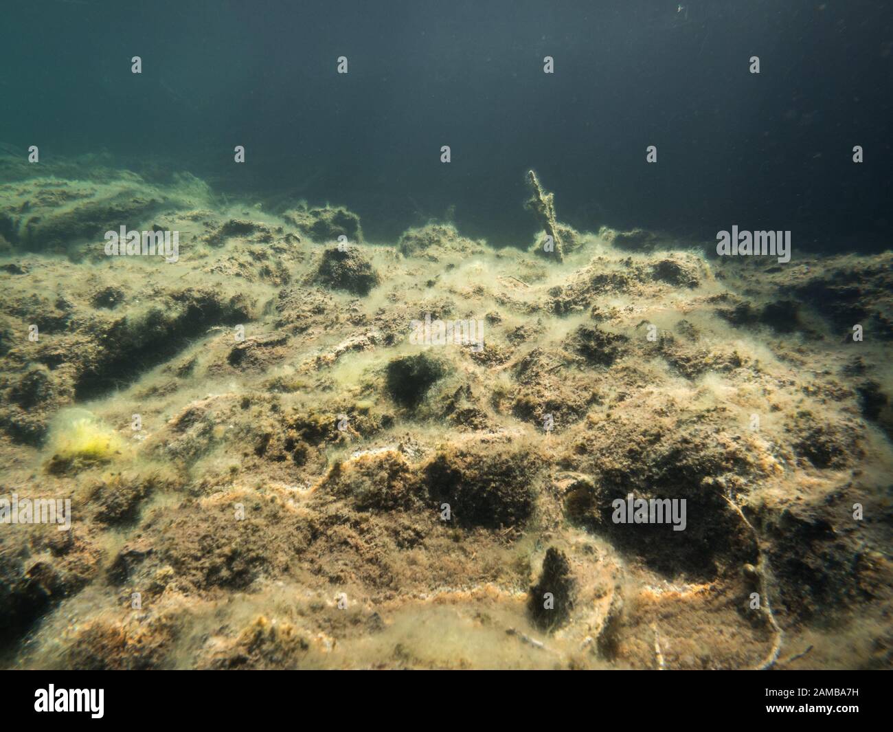 Fond de lac d'eau douce de la tourbe Banque D'Images