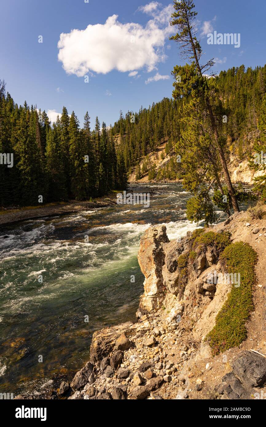 Blick auf den Yellowstone River Banque D'Images