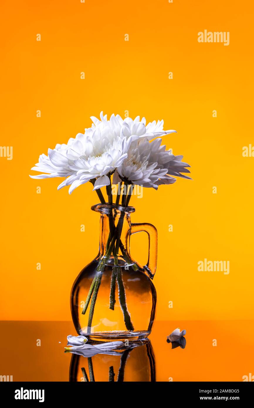 Fleurs blanches bouquet minimal dans vase en verre sur fond jaune doré - récolte verticale Banque D'Images