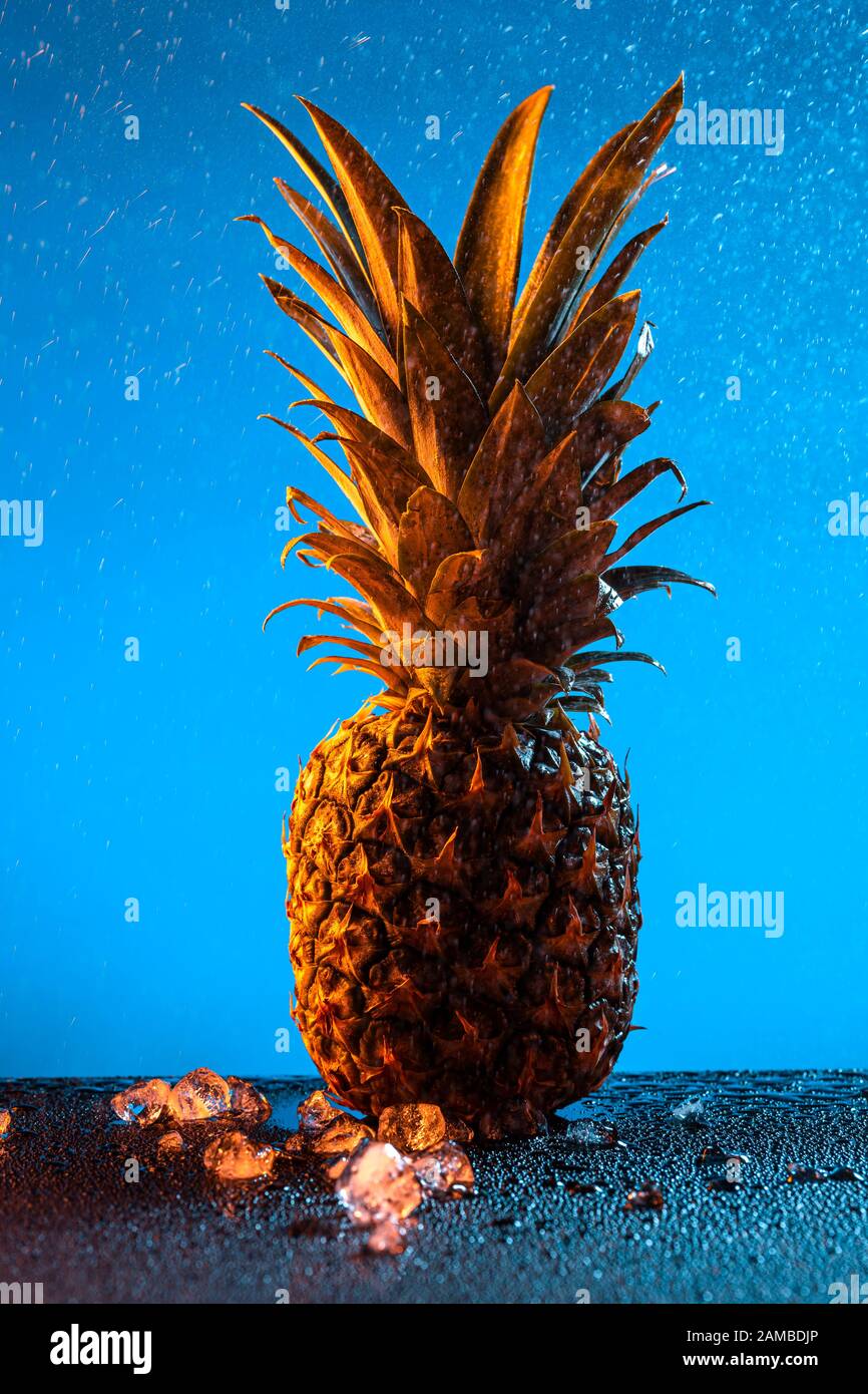 Ananas frais brut éclaboussé dans des gouttelettes d'eau et des glaçons sur fond bleu - séance de studio Banque D'Images