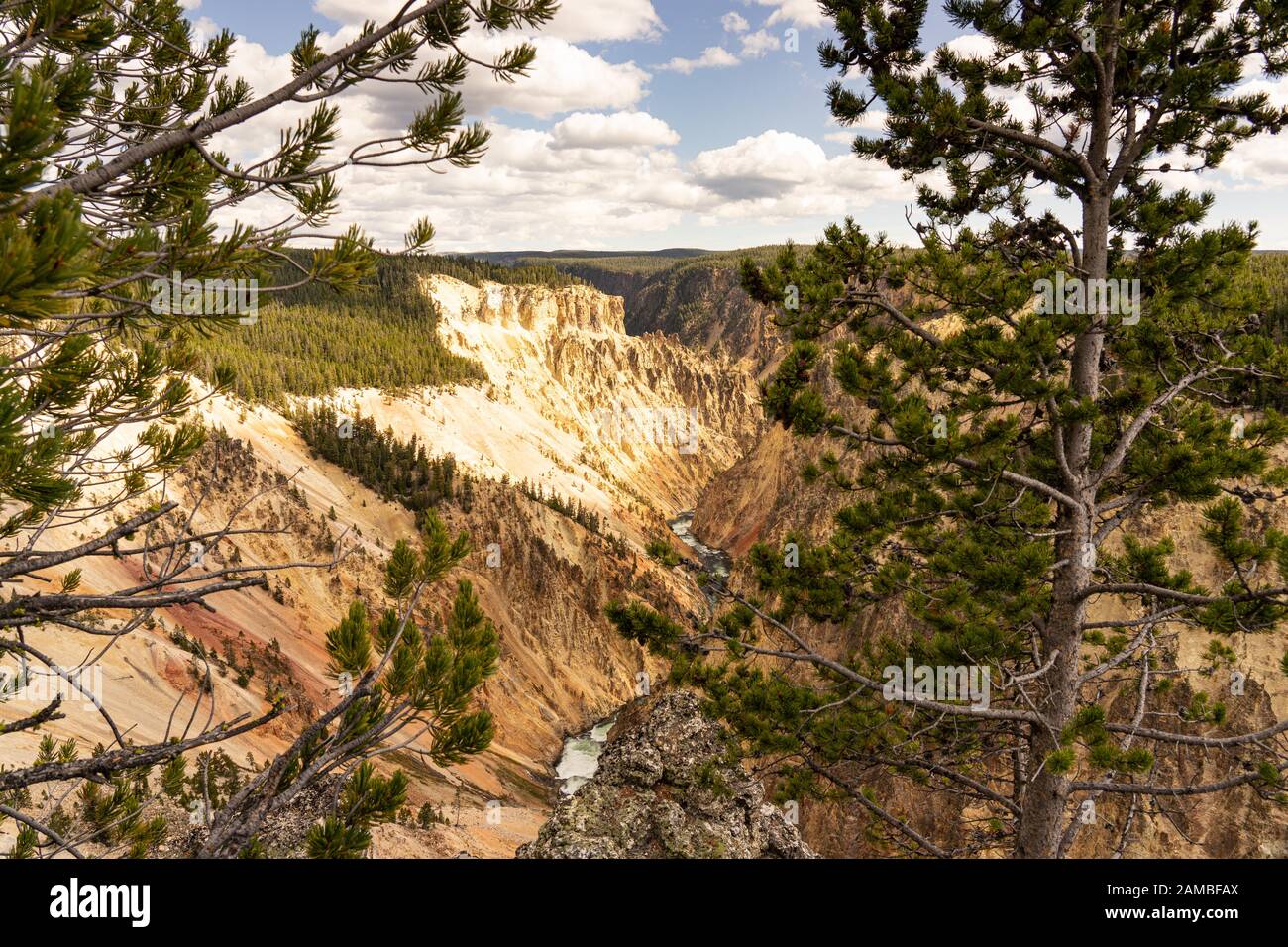 Grand Canyon de Yellowstone Banque D'Images
