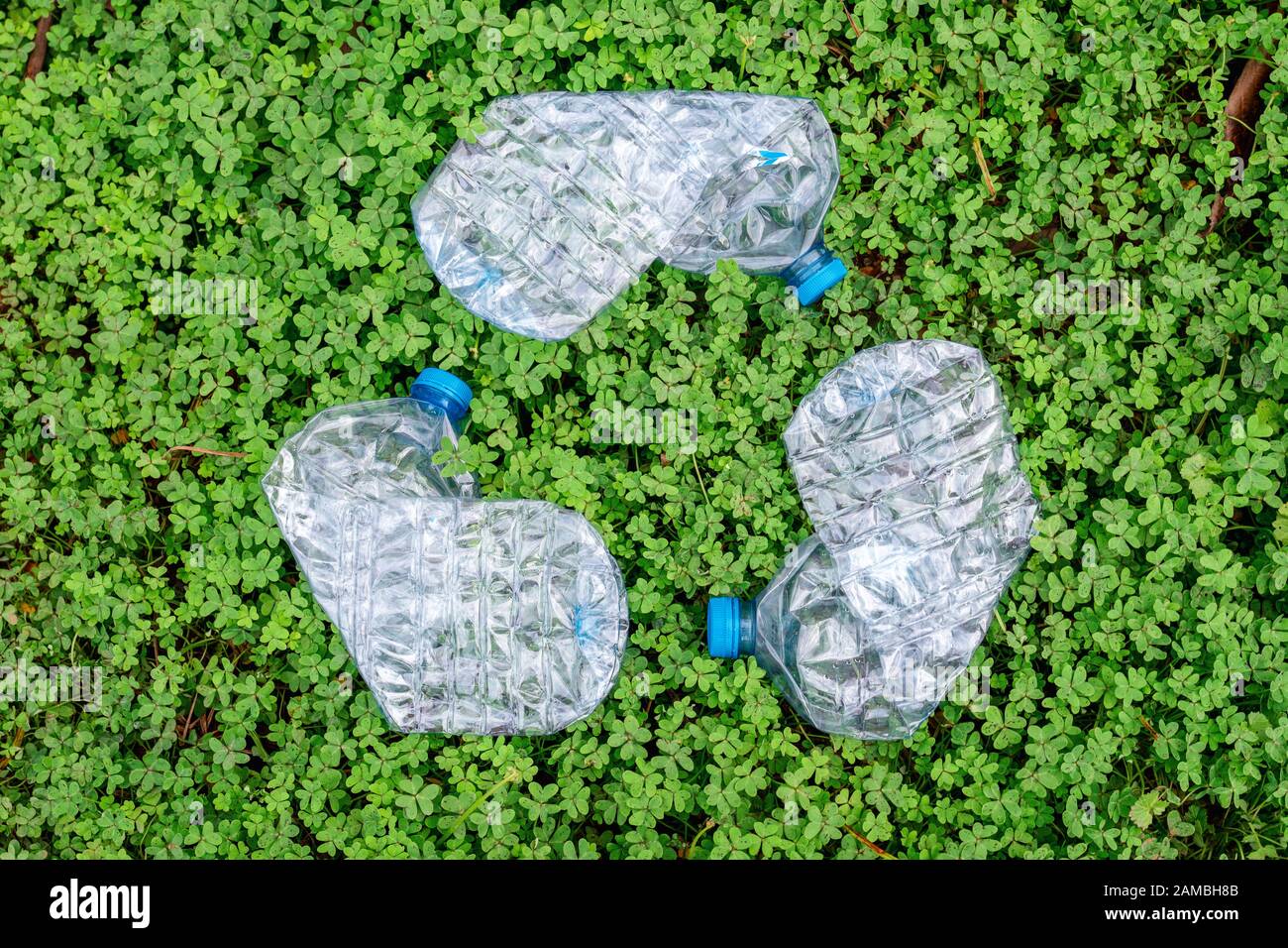 bouteille en plastique gaspillée dans l'arbre en forme de symbole de recyclage sur fond vert Banque D'Images