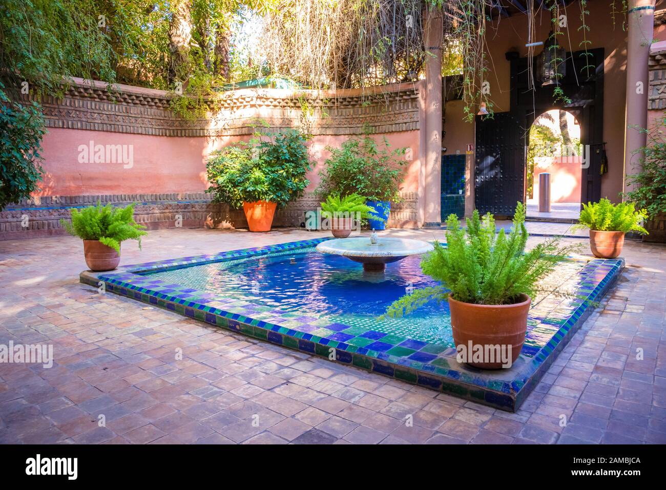 Le magnifique Jardin Majorelle est un jardin botanique, le jardin tropical et l'artiste jardin paysage à Marrakech, Maroc. Banque D'Images