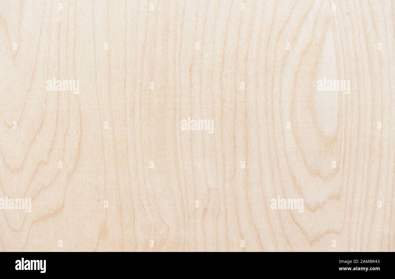 Panneaux de texture. Fond de bois à partir de la feuille de contreplaqué. Banque D'Images