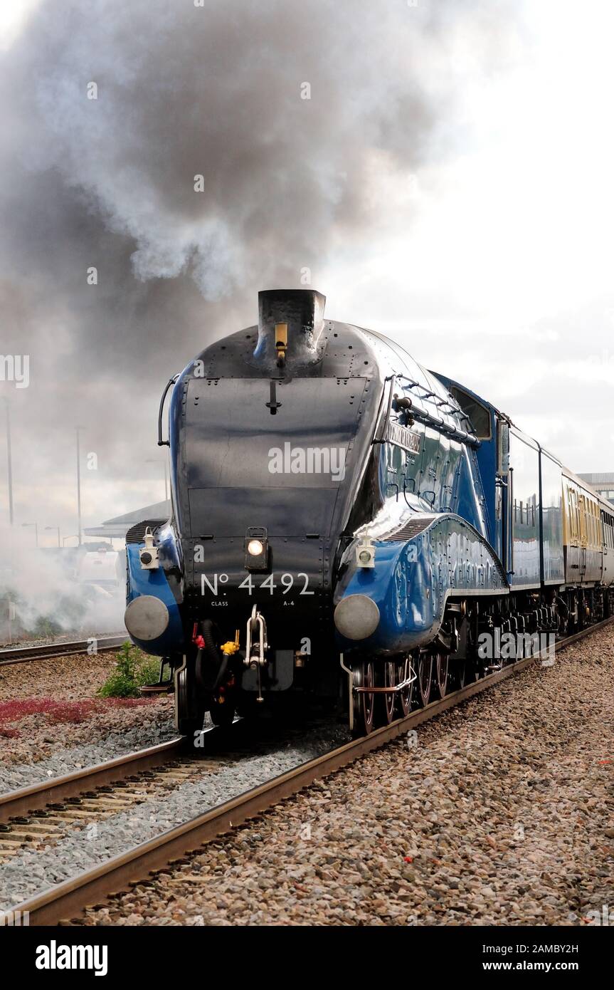 Train à vapeur de la ligne principale par excès de Chippenham, transporté par la classe A4 No 60019 du Pacifique Le Petit Blongios, exécuté en tant que pas de 4492. (Voir note). Banque D'Images