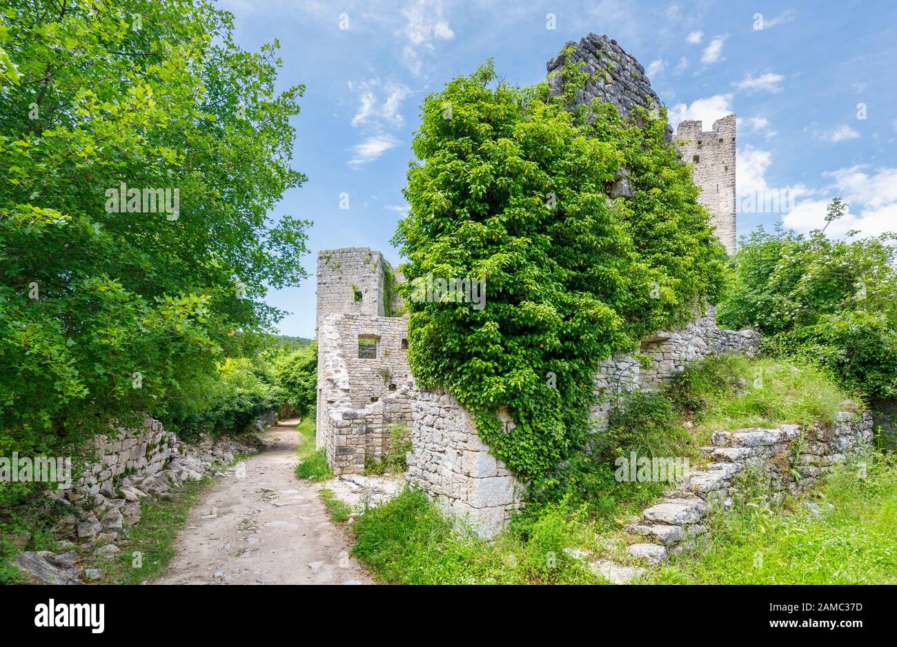 Envahi par la porte d'entrée au château ruines à Dvigrad (ou Castelli), une ville médiévale dans la vallée de Draga, Istrie, Croatie centrale Banque D'Images