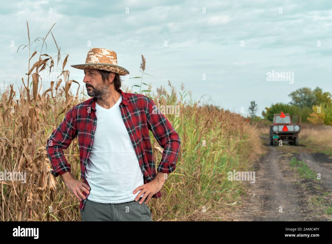 Un cultivateur de maïs inquiet regardant le champ de maïs en mauvais état avec les tracteurs et les remorques vides en arrière-plan, concept de protection de la récolte importance Banque D'Images