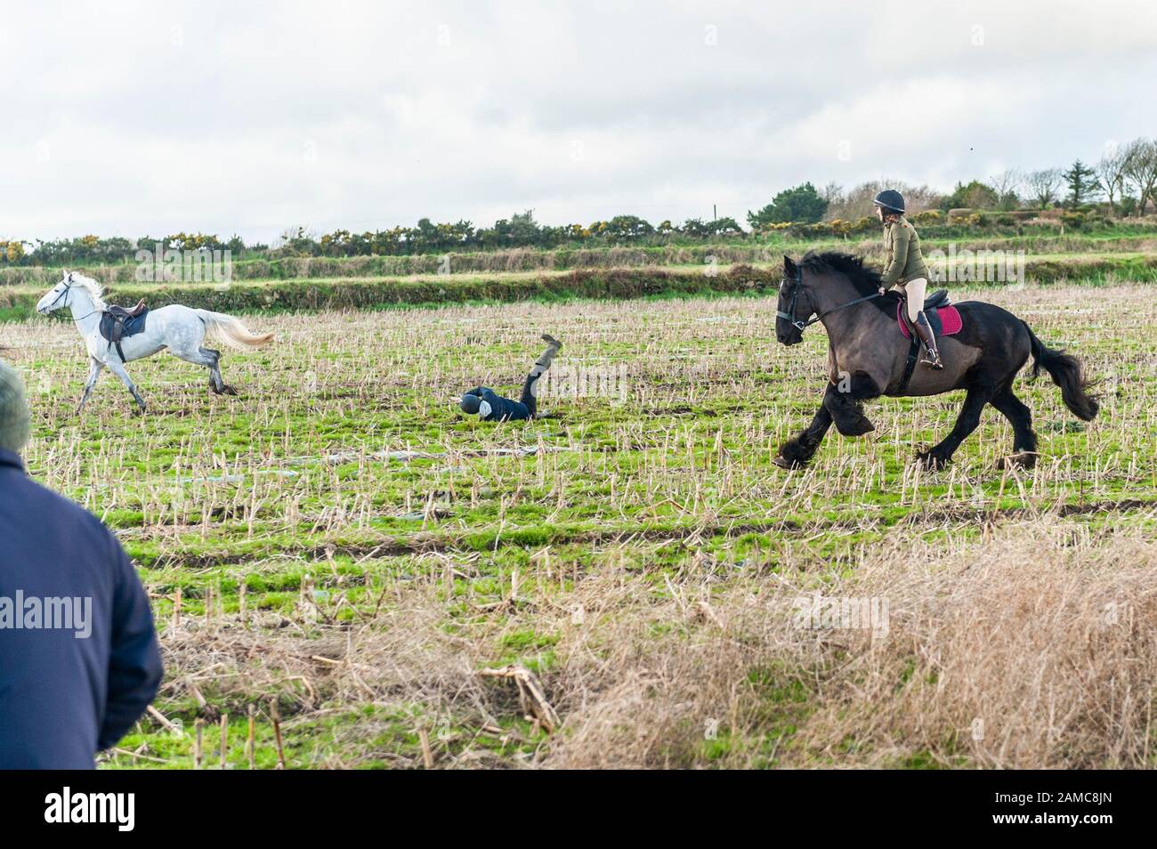 Butlerstown, West Cork, Irlande. 12 janvier 2020. Le Carberry Hunt Butlerstown Fun Ride annuel a eu lieu aujourd'hui avec des centaines de chevaux et de cavaliers. Un des coureurs a été jeté de son cheval peu après le début de la course. Crédit : Andy Gibson/Alay Live News. Banque D'Images