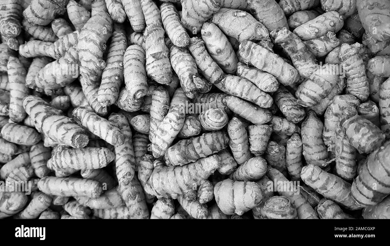 Curcuma Longa (Curcuma) en vente sur le marché local, utilisé dans la cuisson et la fabrication de currys Banque D'Images