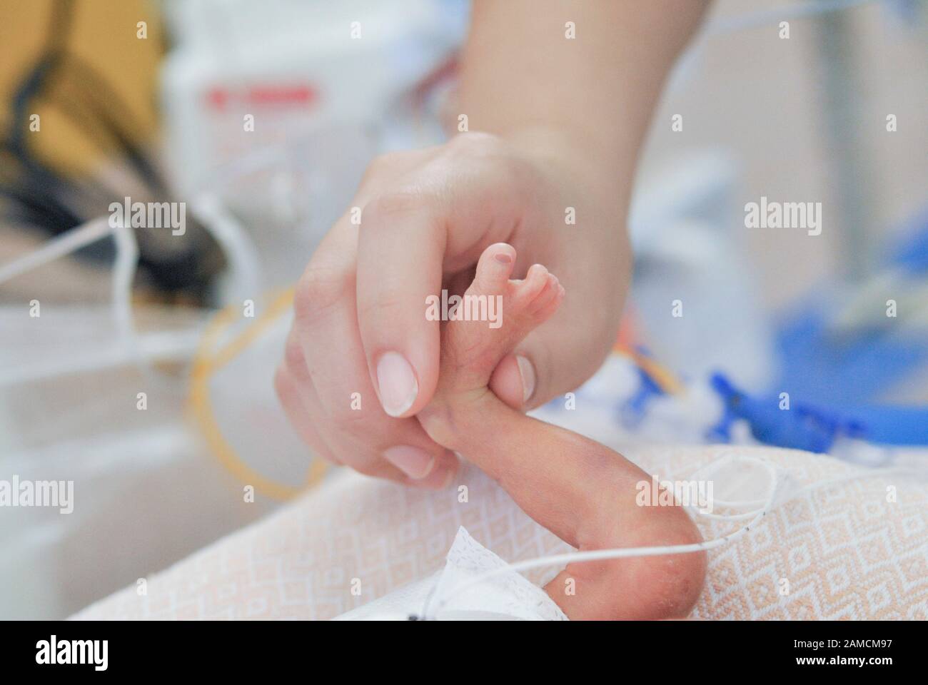 Prise de main de pied prématuré de bébé, à l'hôpital de Chidren. Guayaquil. Équateur Banque D'Images