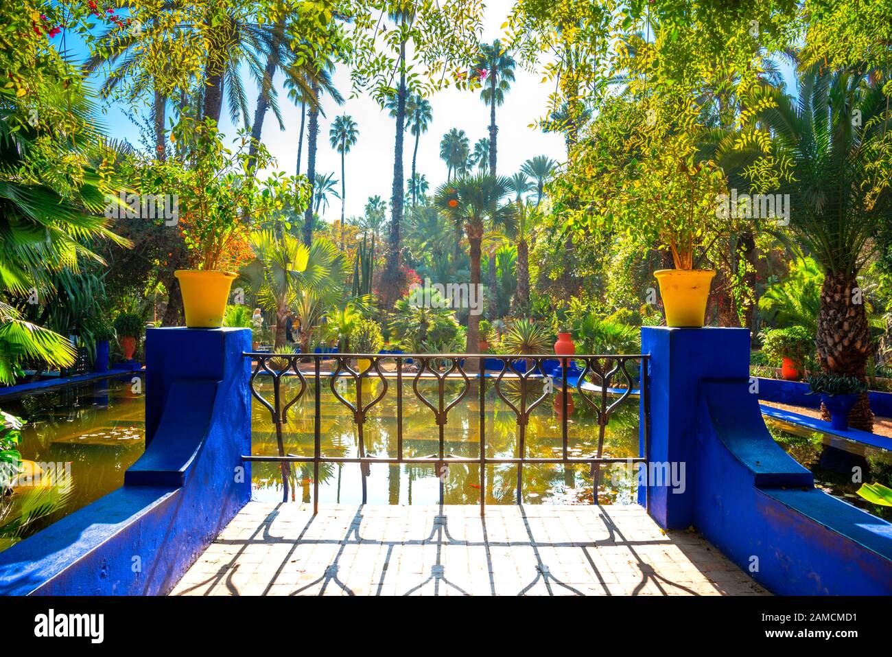 Le magnifique Jardin Majorelle est un jardin botanique, le jardin tropical et l'artiste jardin paysage à Marrakech, Maroc. Banque D'Images