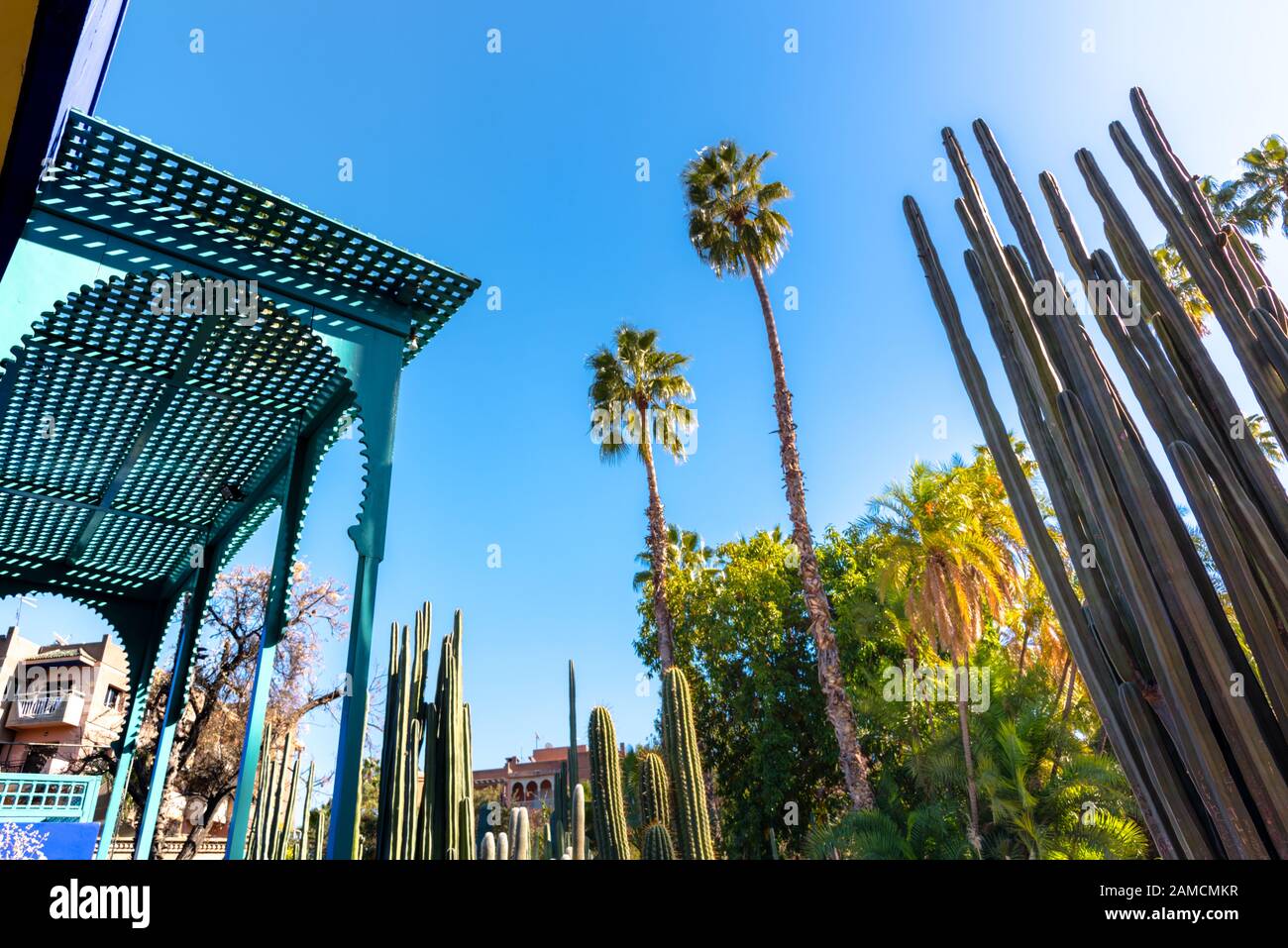 Le magnifique Jardin Majorelle est un jardin botanique, le jardin tropical et l'artiste jardin paysage à Marrakech, Maroc. Banque D'Images