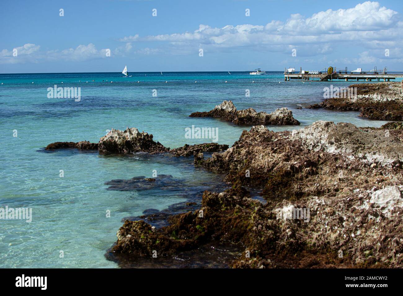 Côte rocheuse dans la mer des caraïbes Banque D'Images